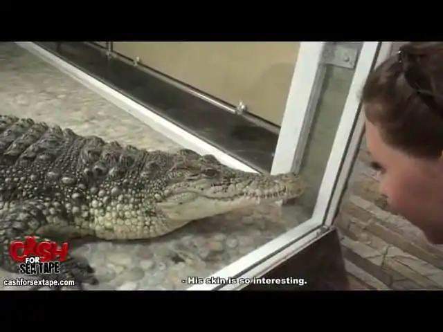 Horny girl looking at alligator