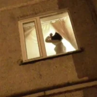 Woman Undressing in Window While Voyeur Watches from Outside